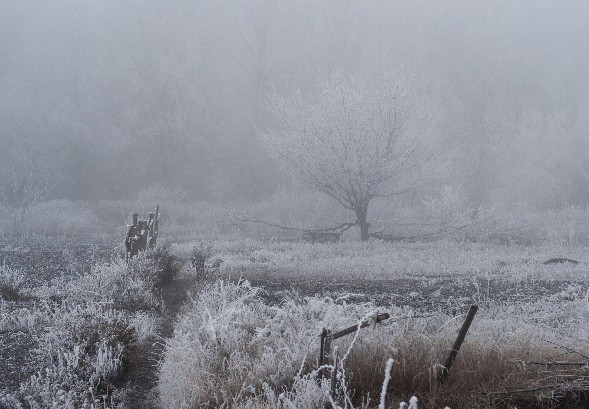 Donezk/foto storiche