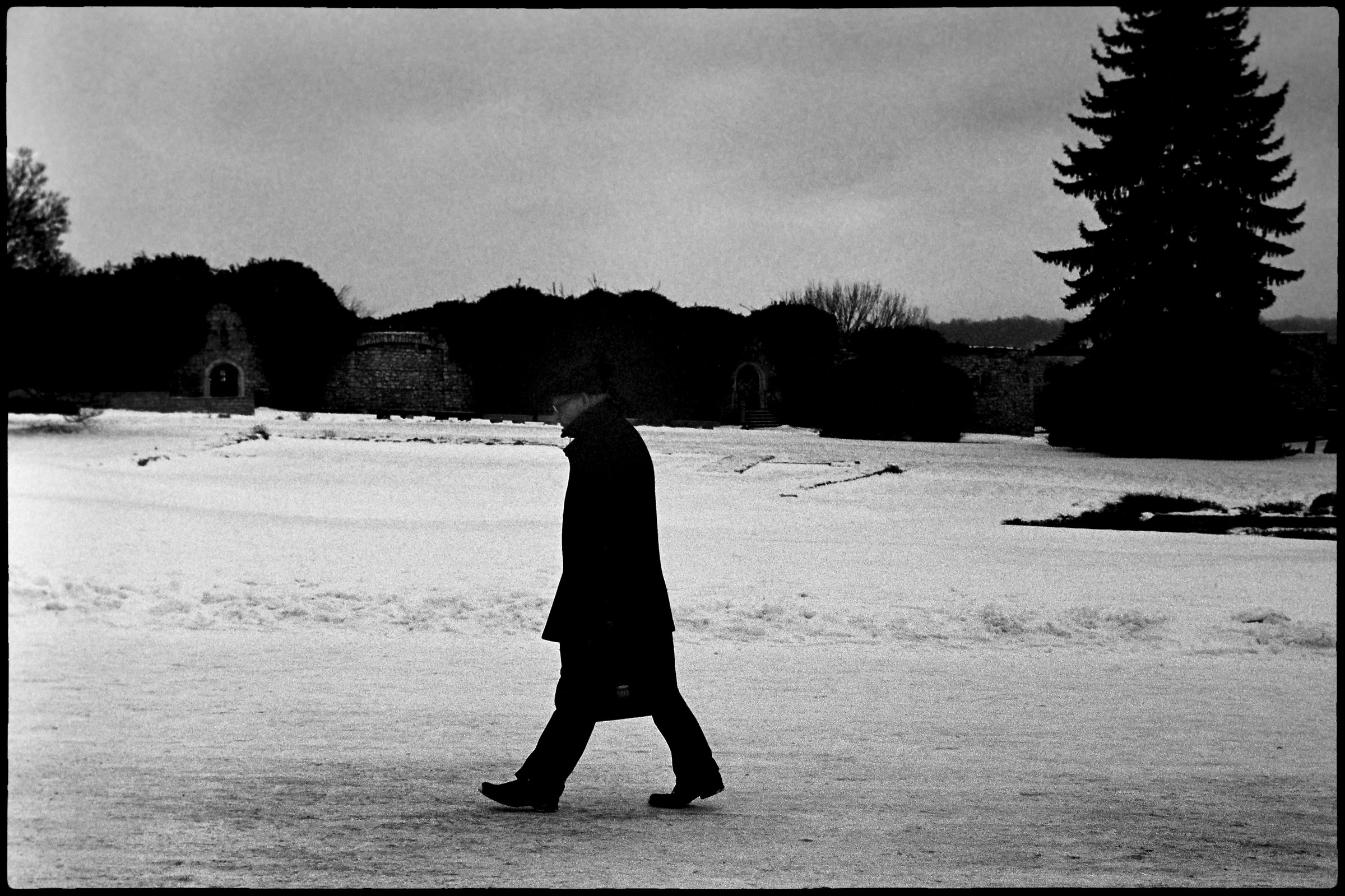 Walking, walking..walking on the snow