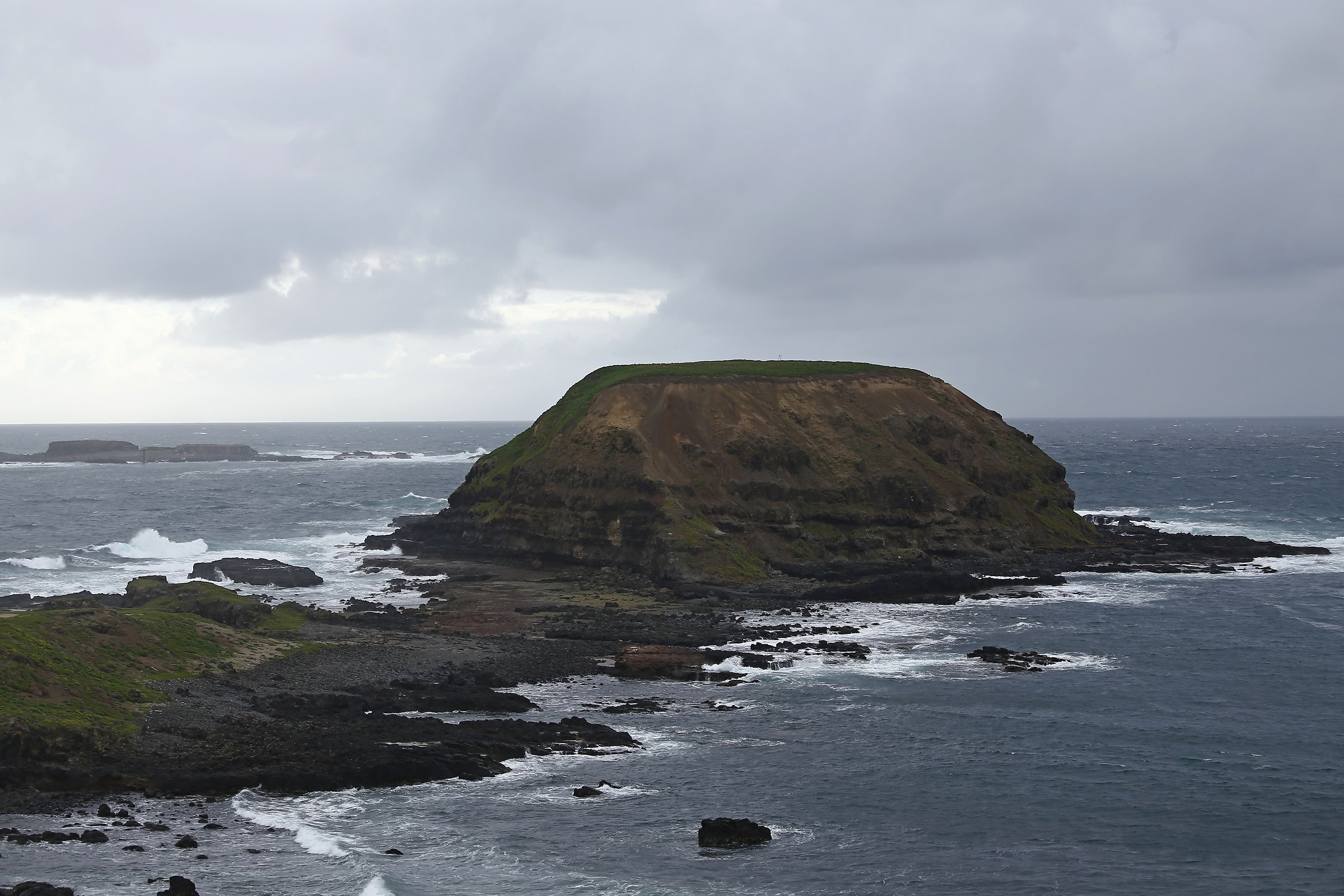 The island of penguins