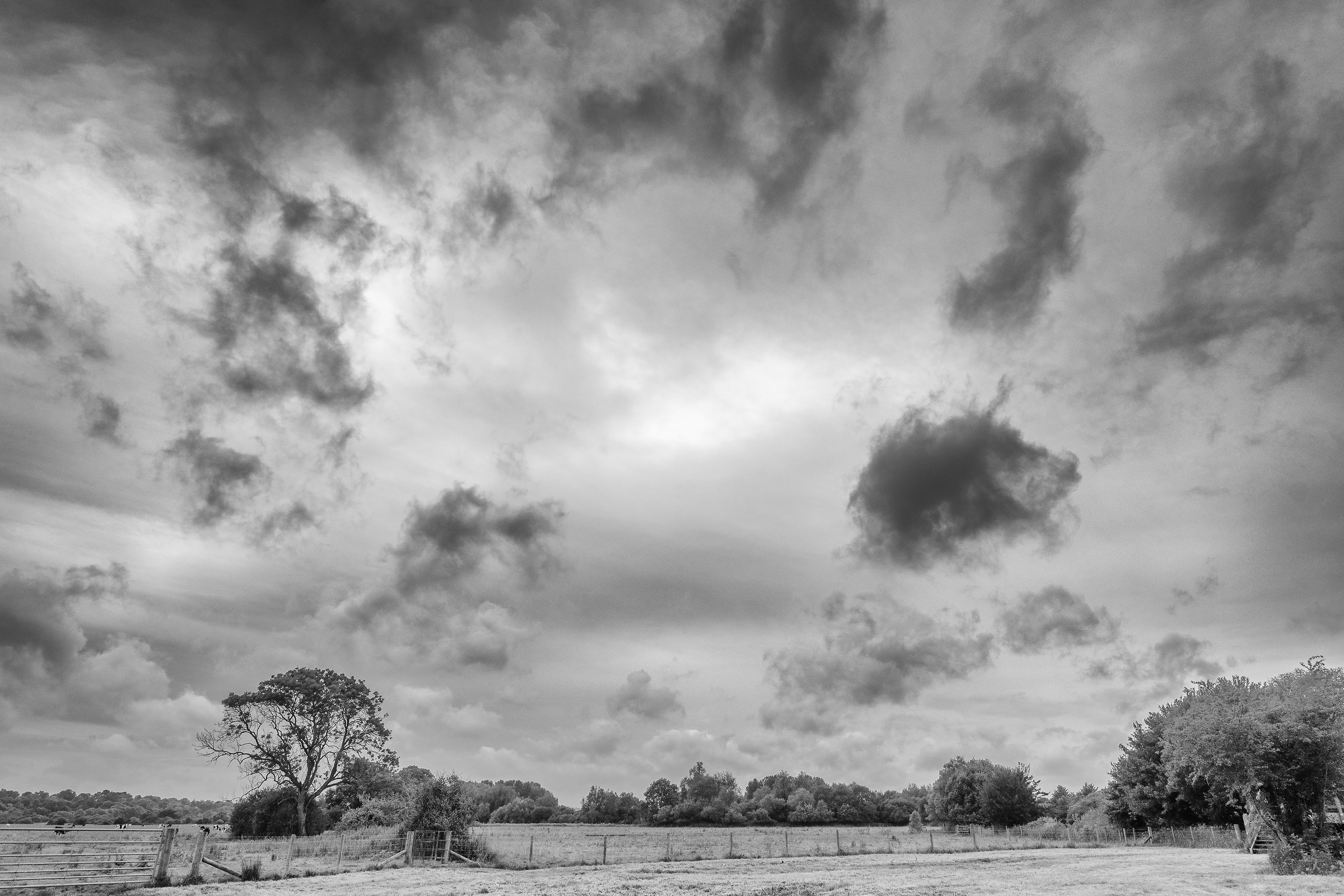 Un cielo di emozioni miste