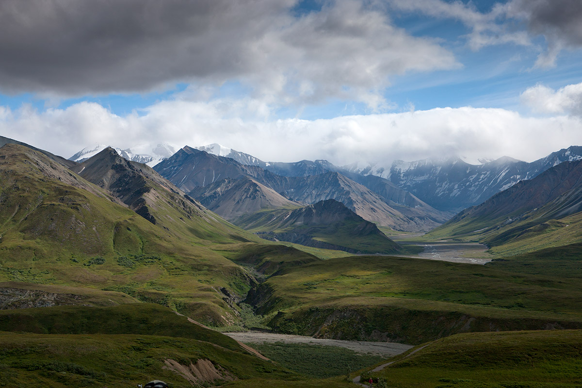 Denali National Park