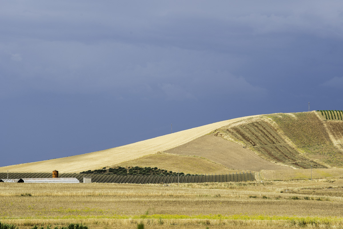Scorcio campestre 4 (Fondovalle)