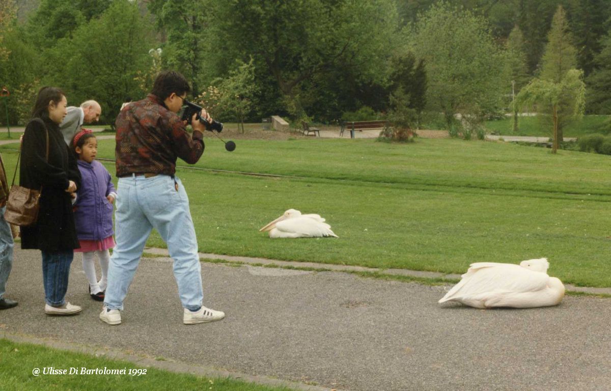 I giapponesi filmano (e fotografano) tutto