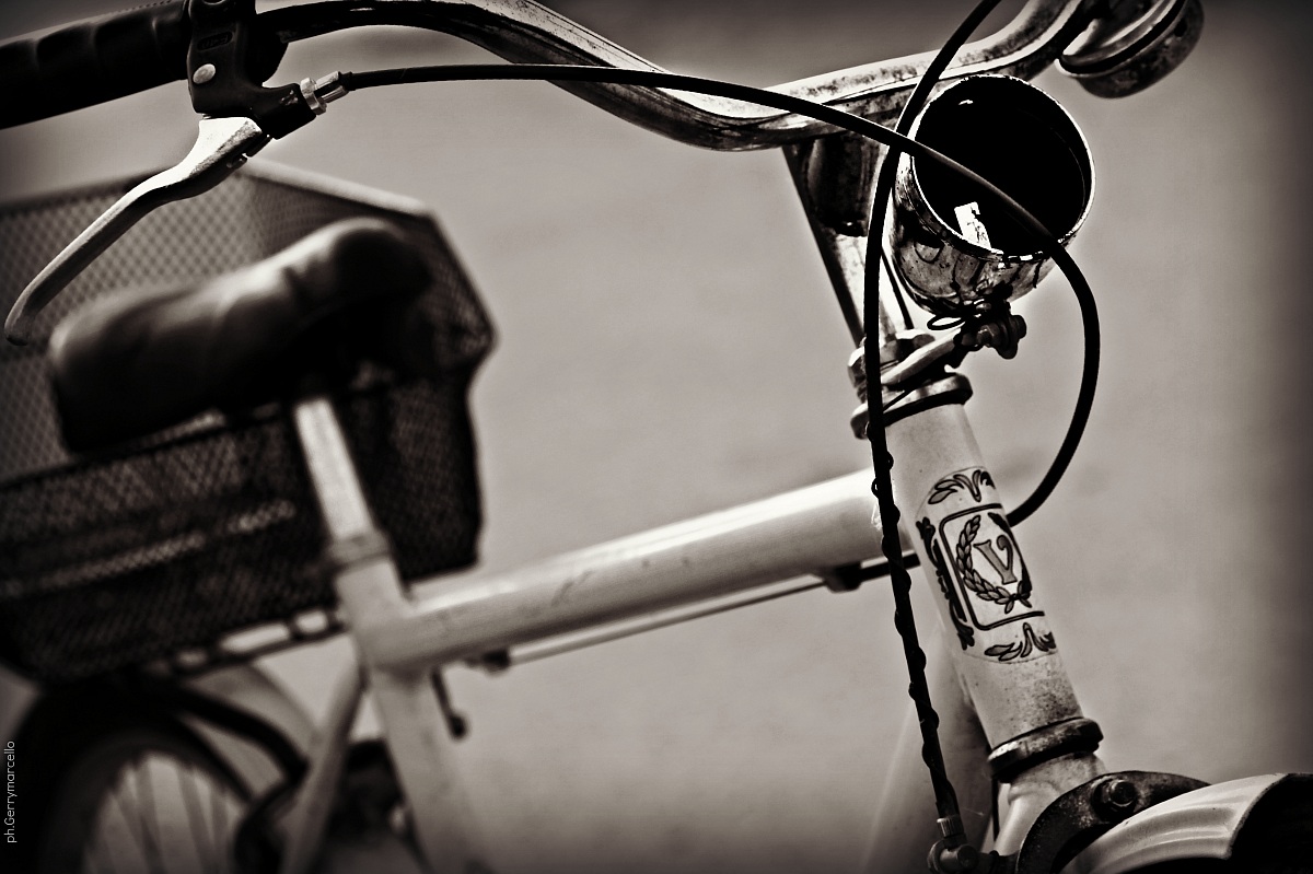 il mio amico di viaggio