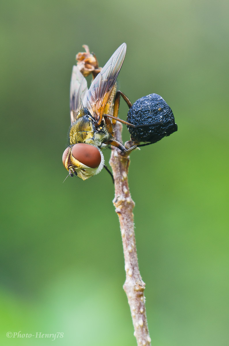 ...a testa in giù...