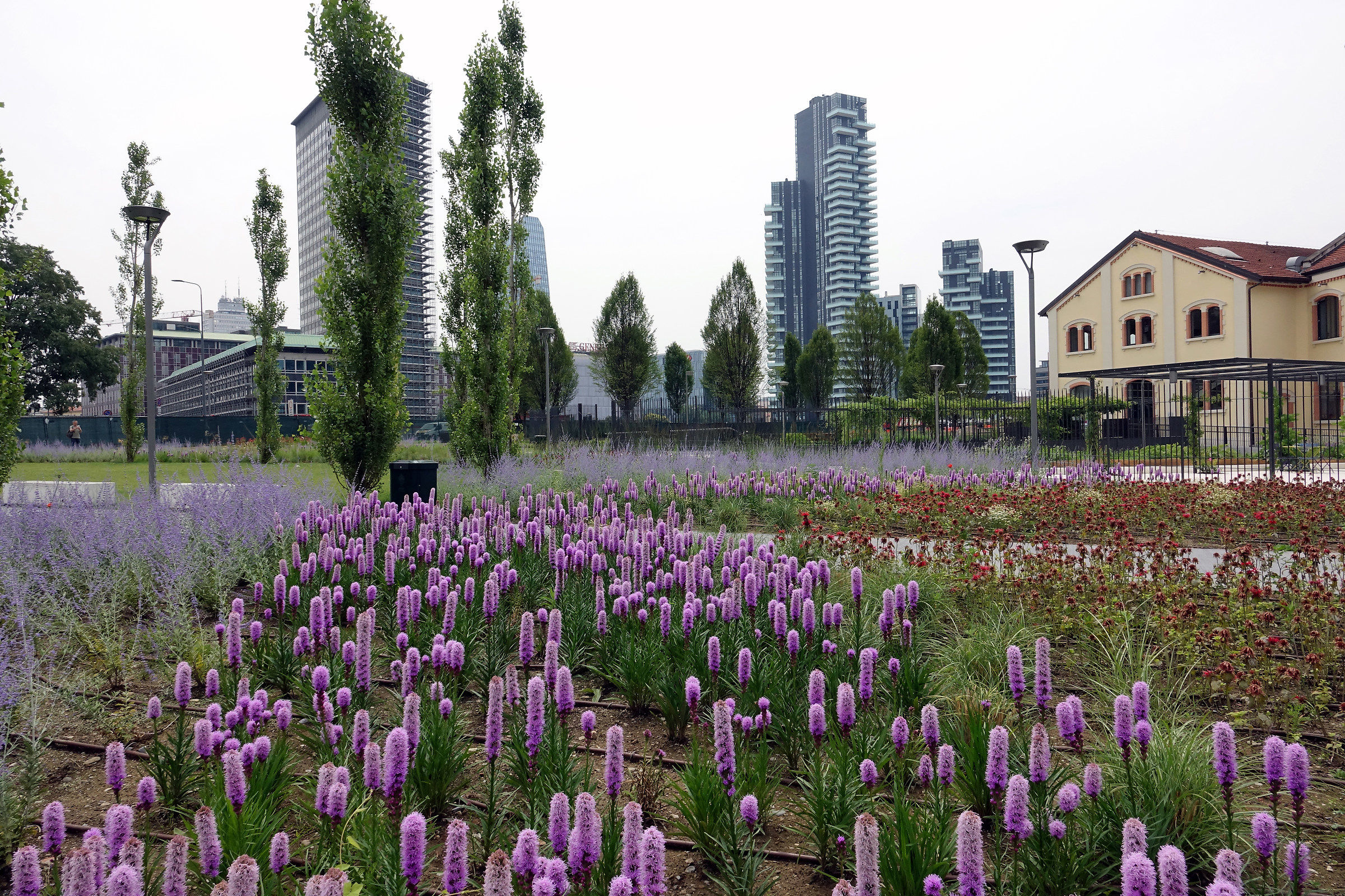 Today 9-6-2017 in Milan