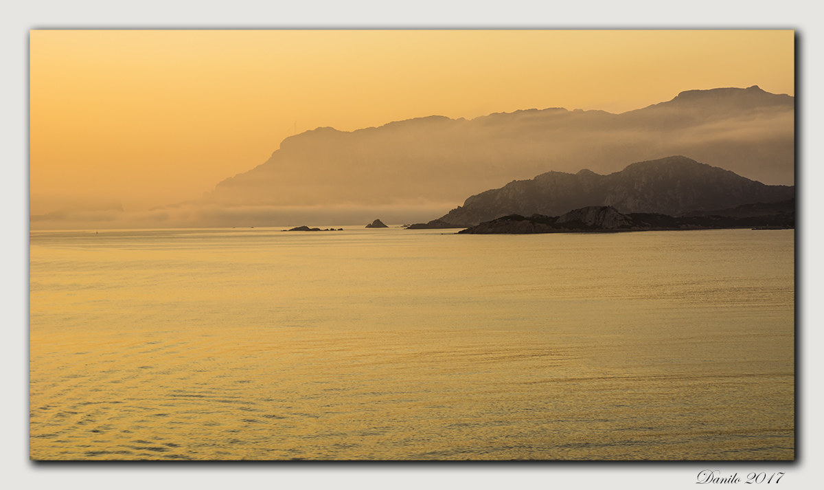 The dawn of gold