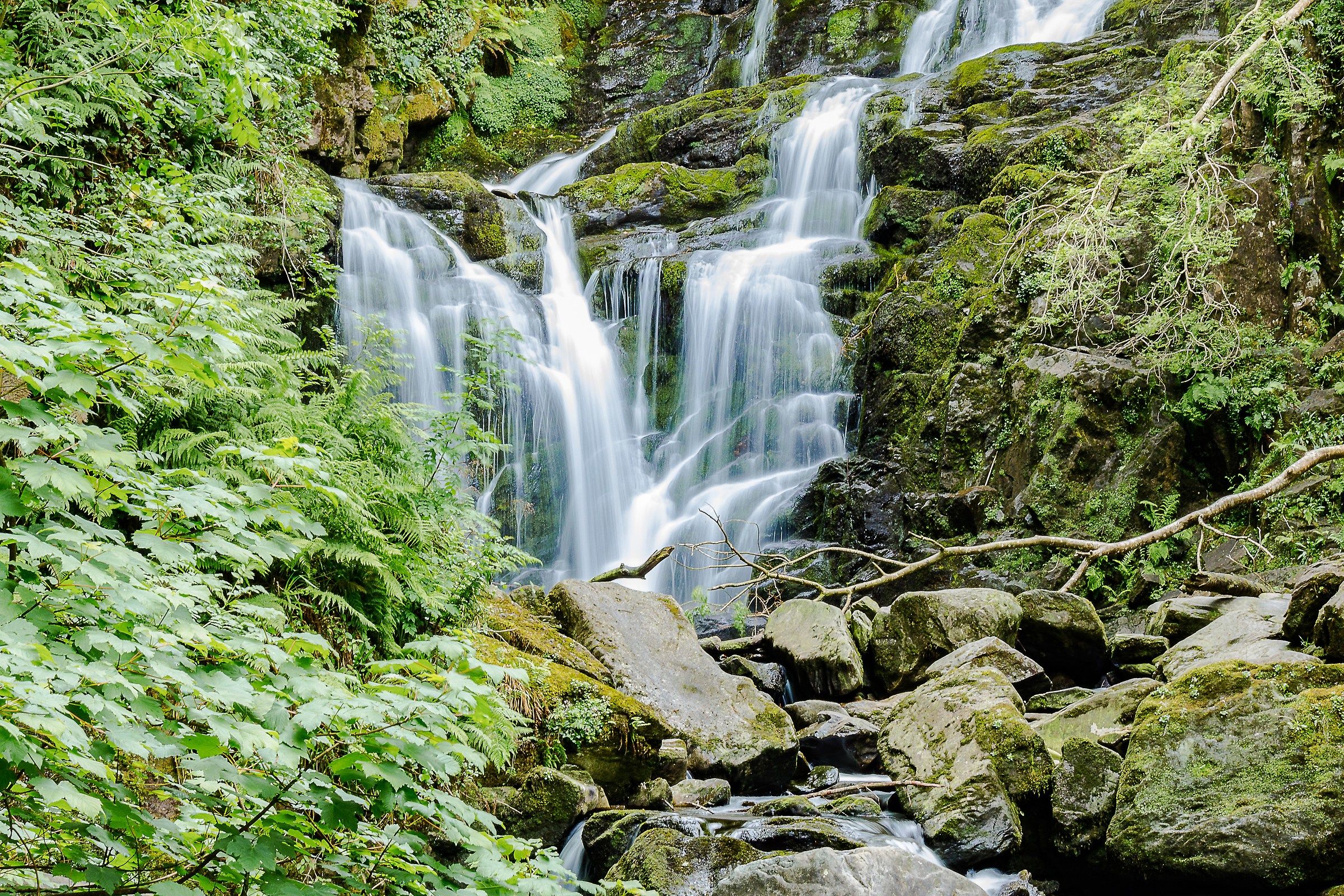 KILLARNEY_National Park