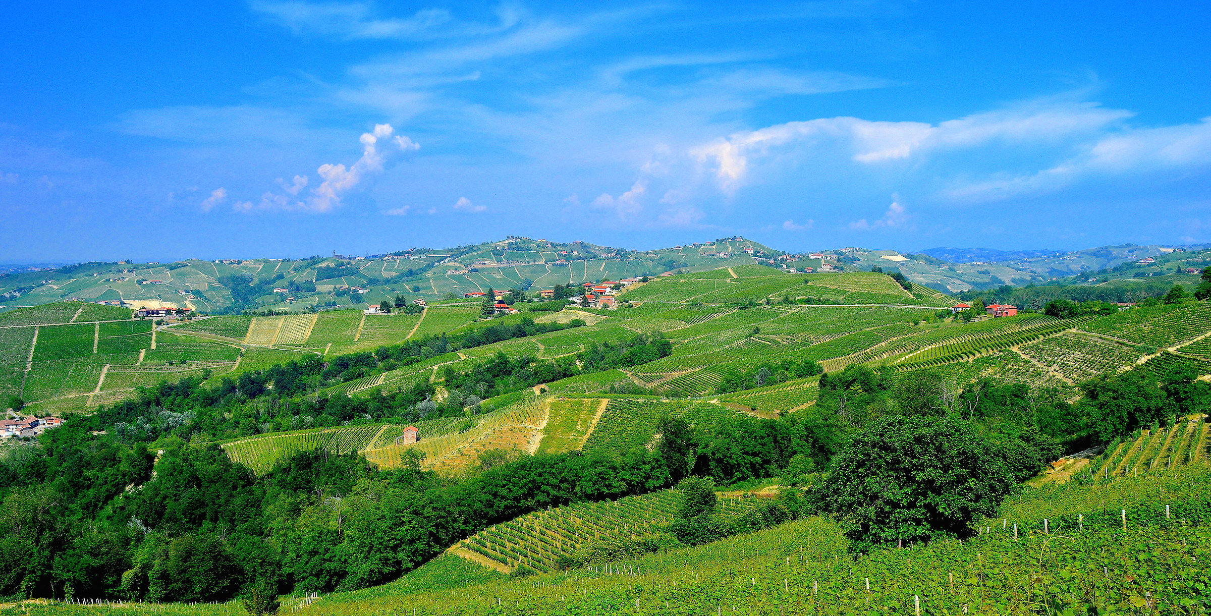 La Langa astigiana vista dal cuneese
