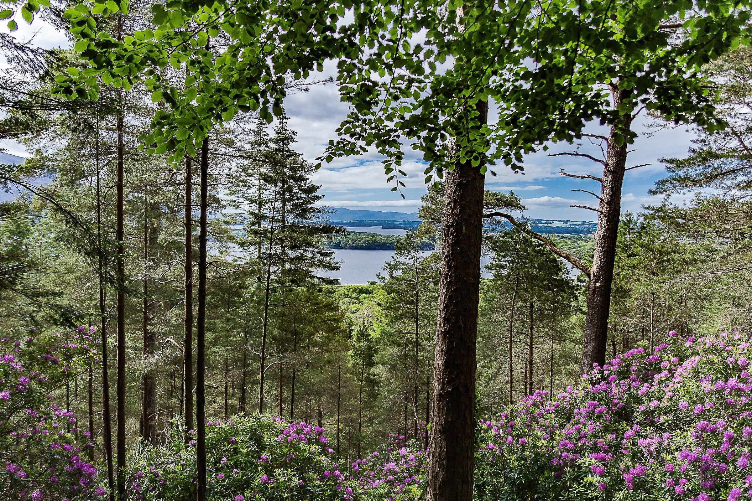 KILLARNEY_National Park 3