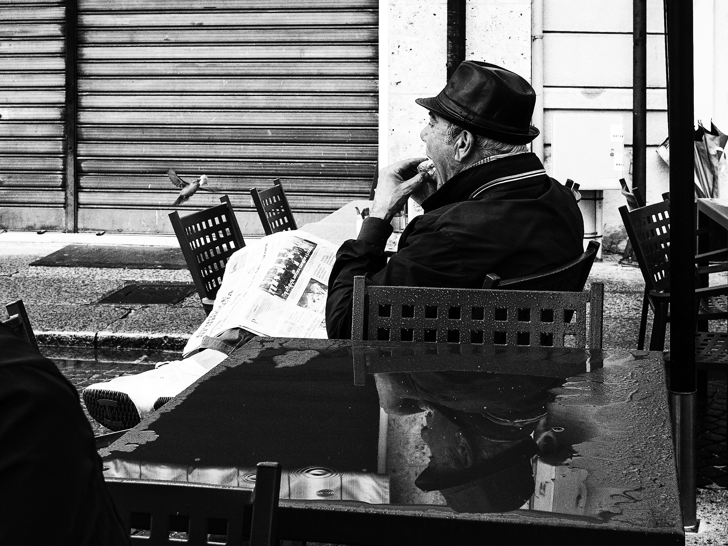 Breakfast with the Sparrow