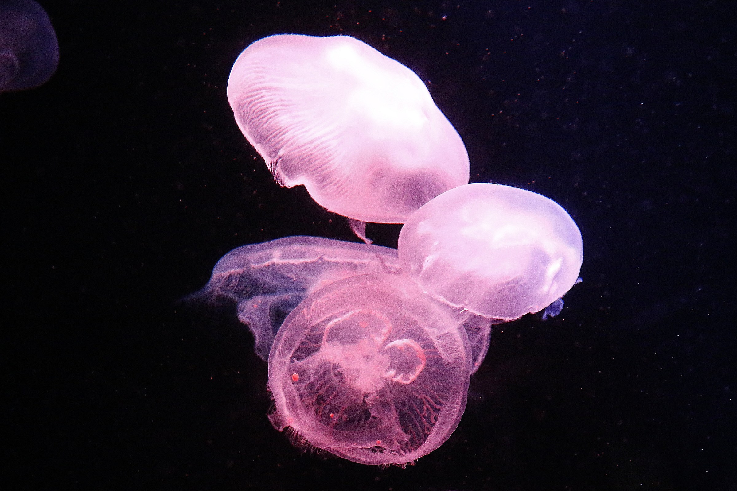 Beautiful and charming