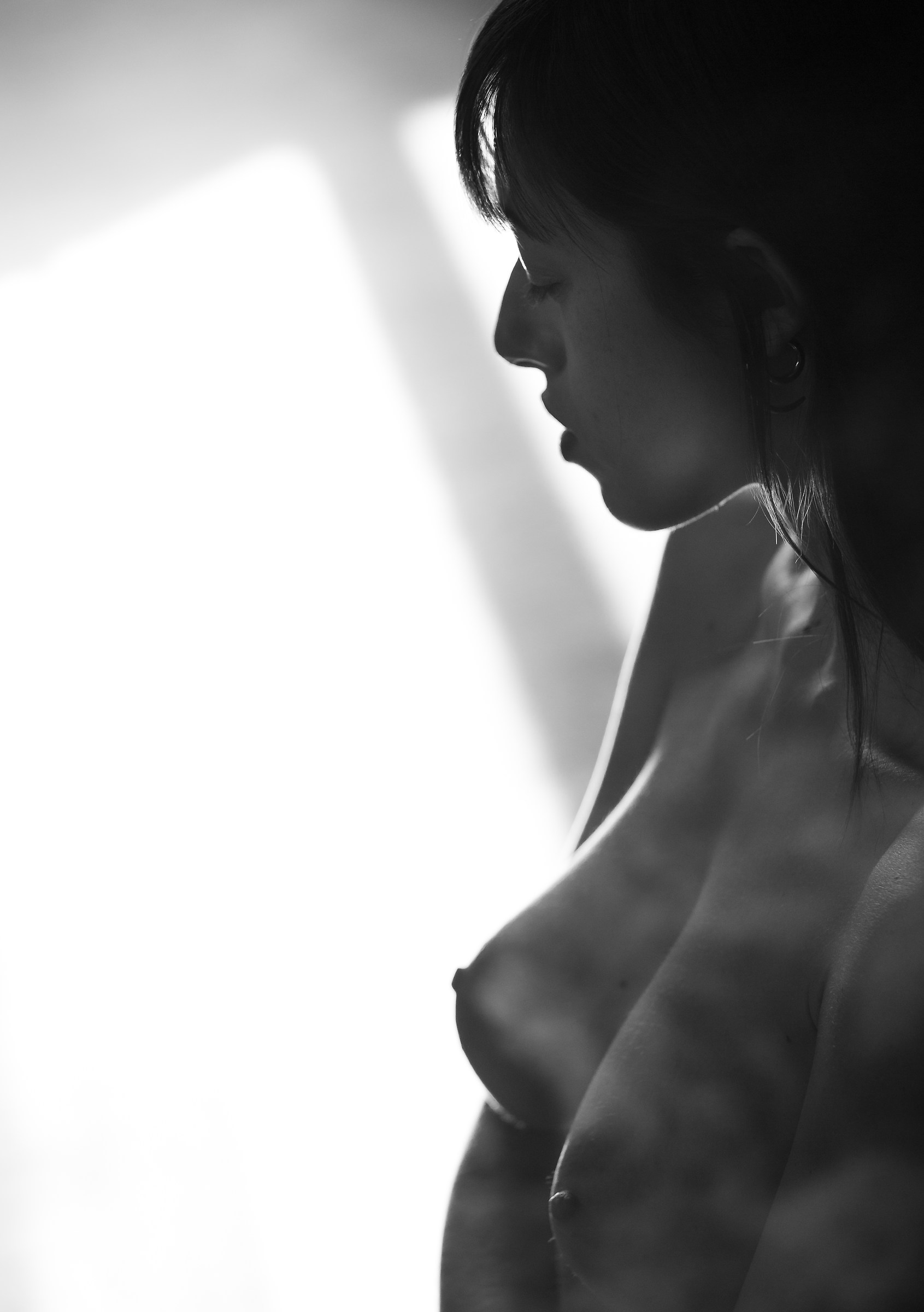 Shaded tattoo designs