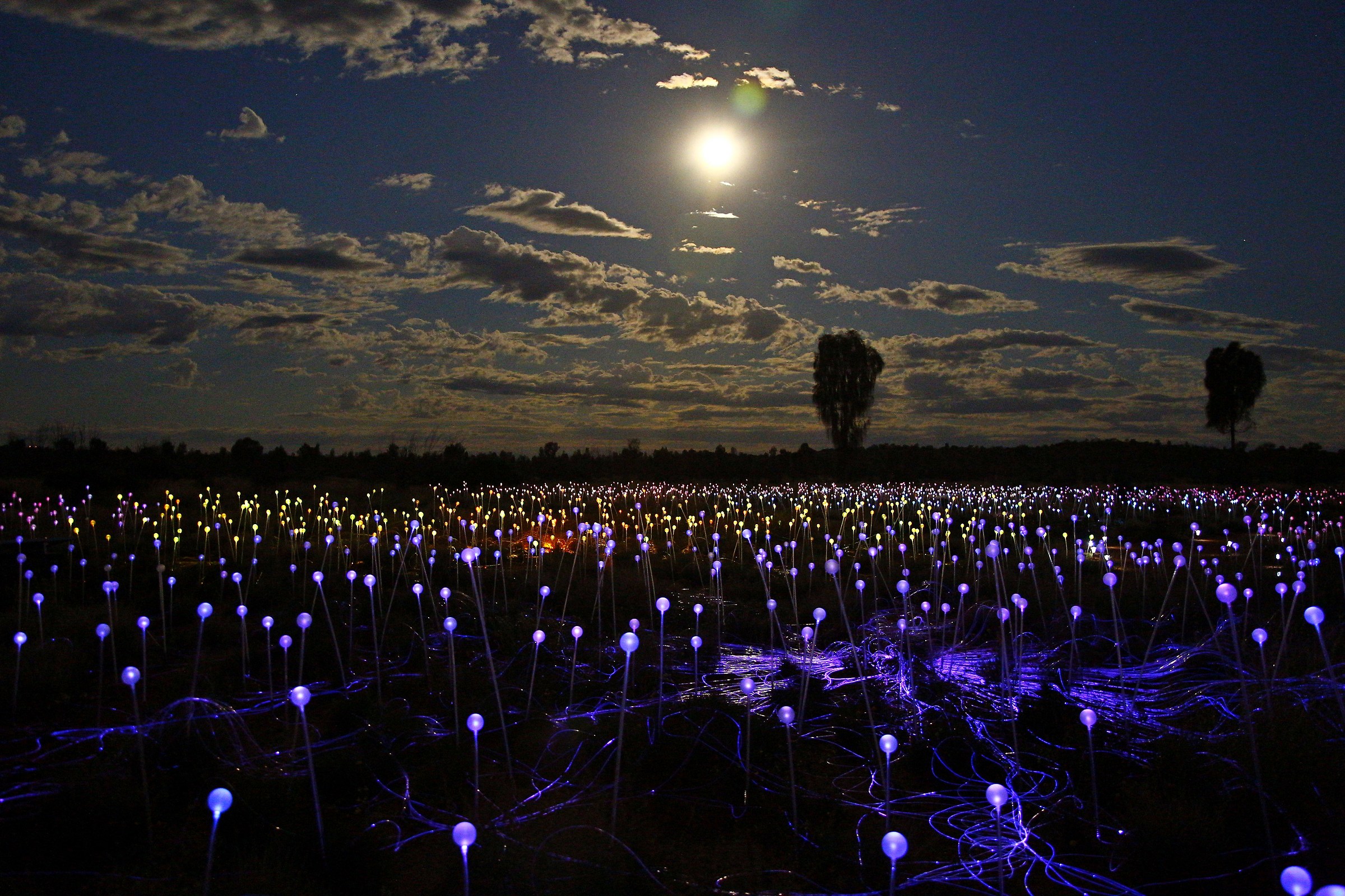 Field of lights - Uluru