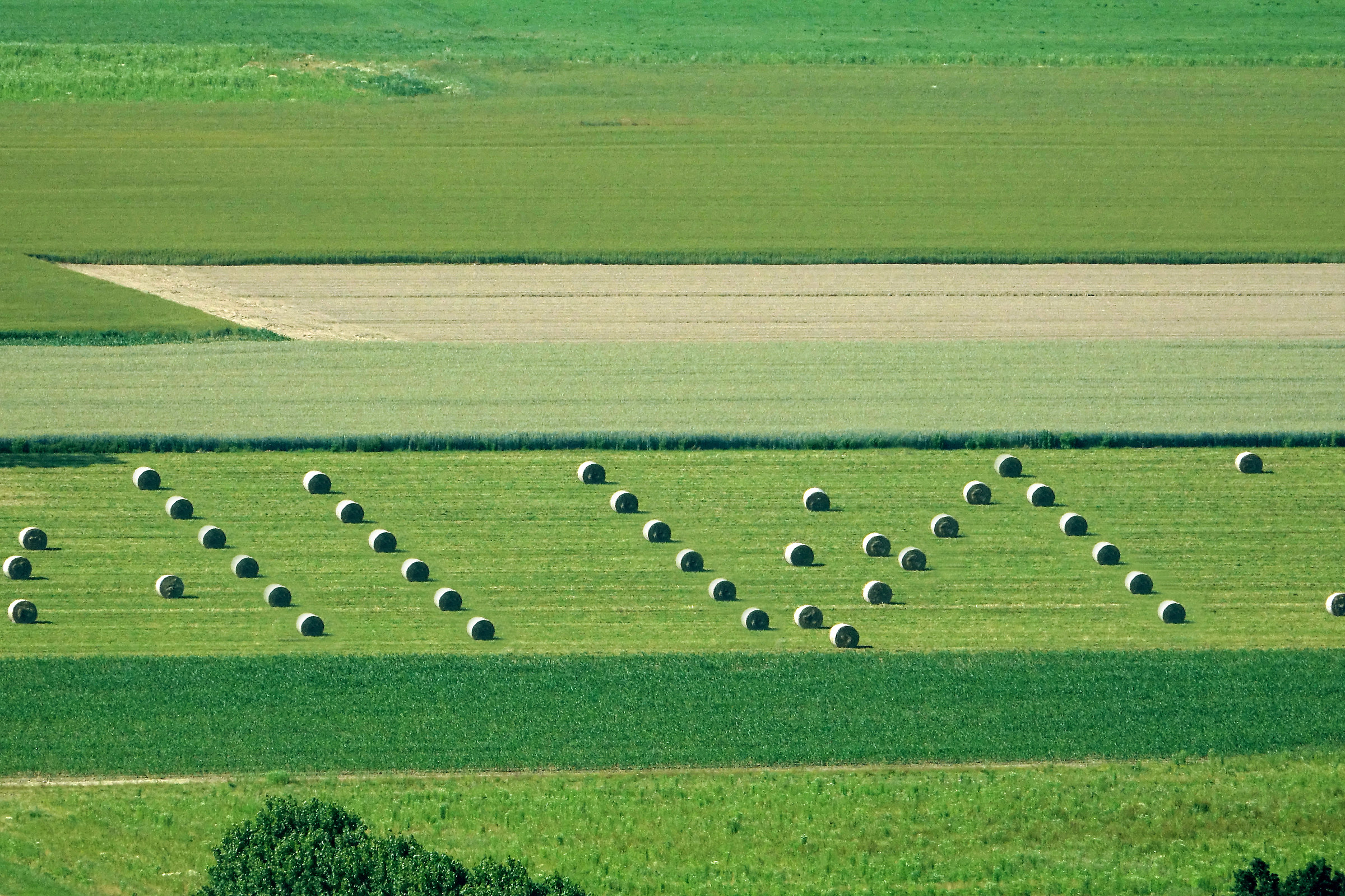 Agriculture and architecture
