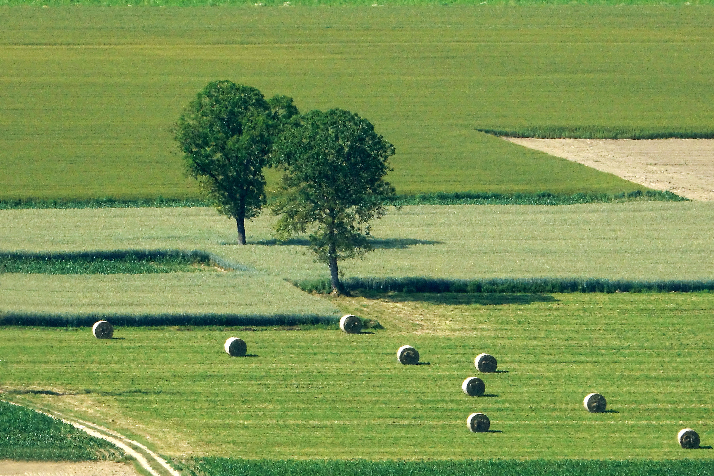 Other geometries in the fields