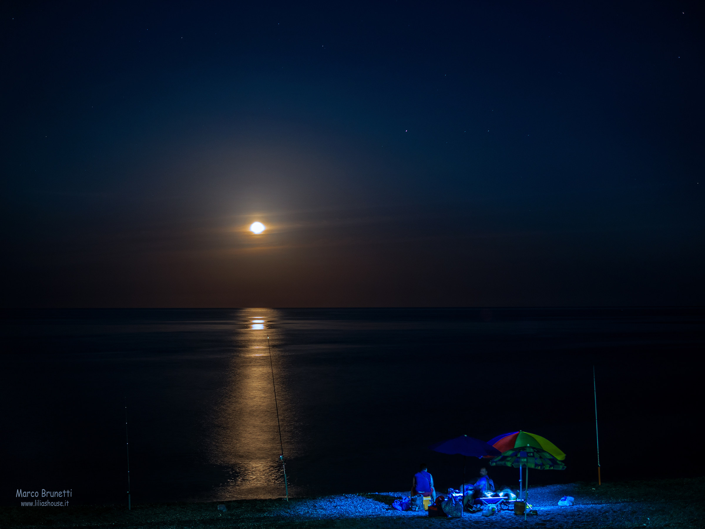Fishing under the moon