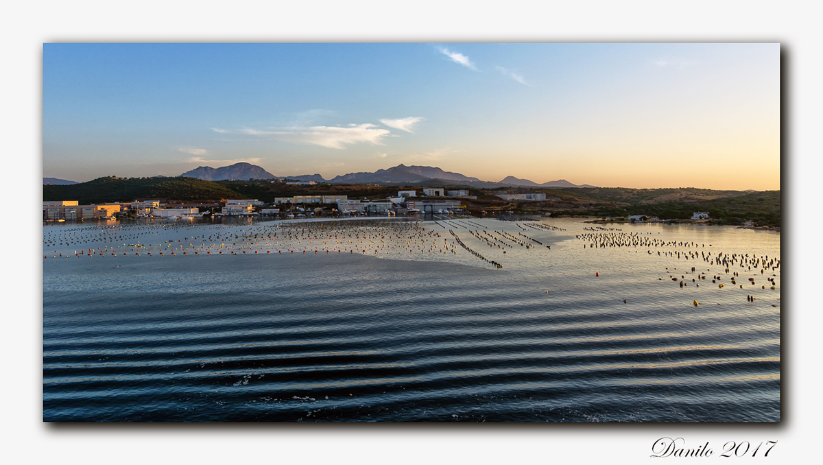 Alba Olbia