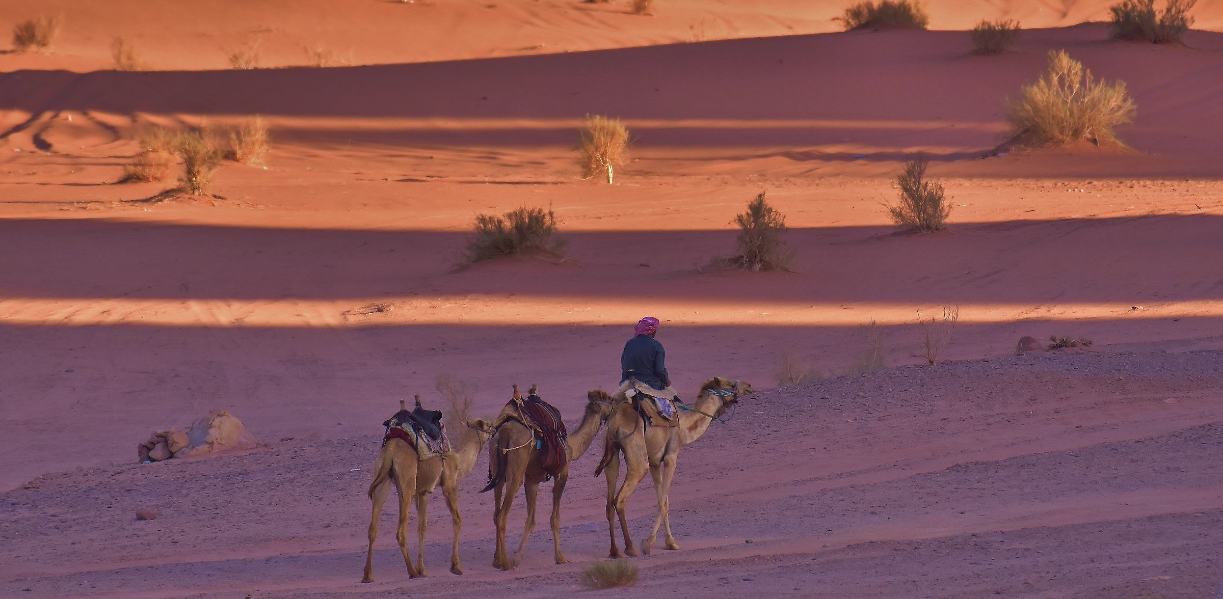 In the silence of the sunset