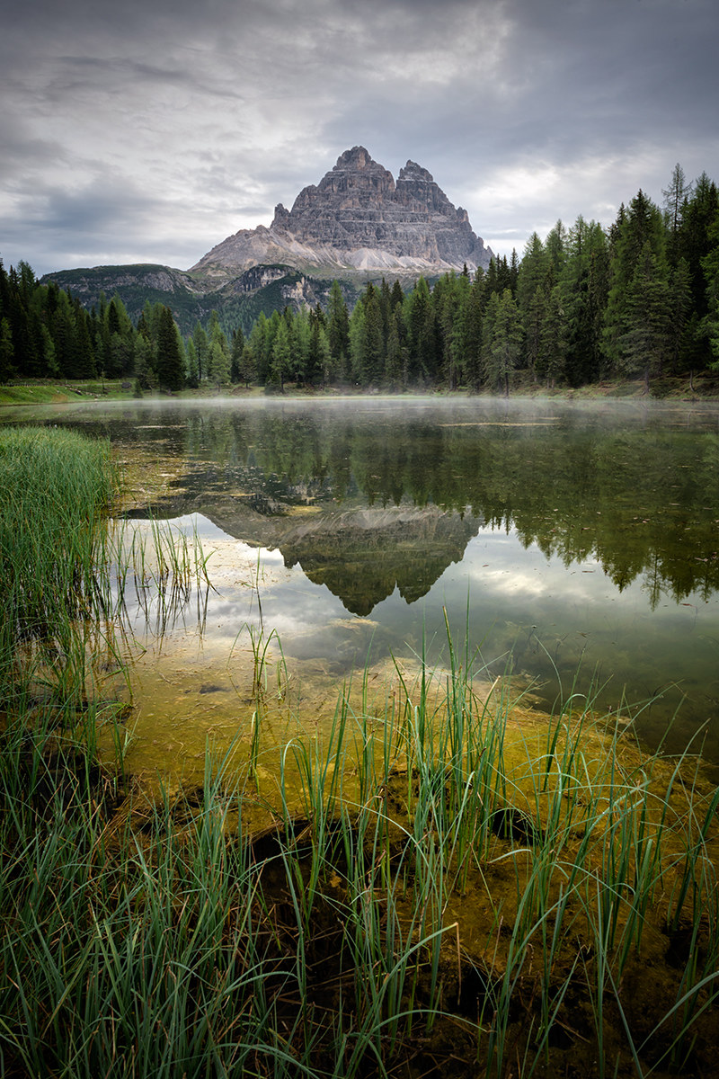 Mirror of my cravings