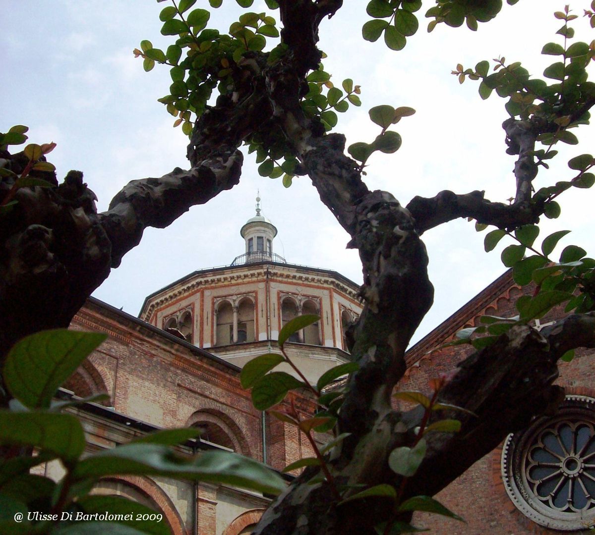 La cupola tra i rami