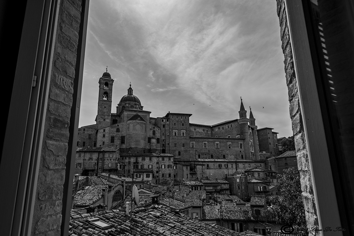 Urbino