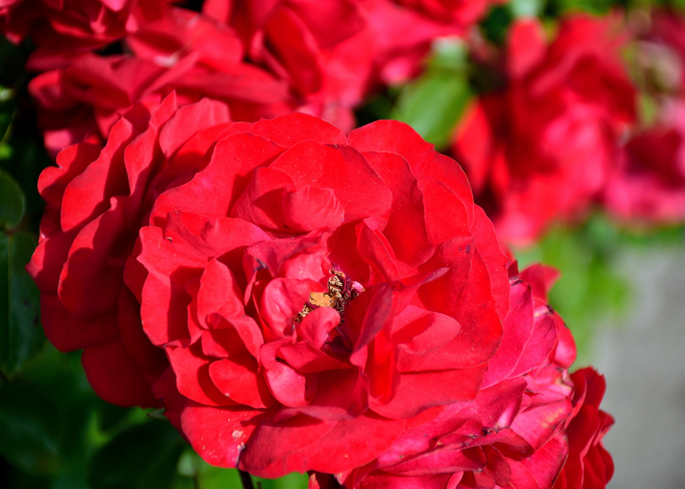 The secret lies in the heart