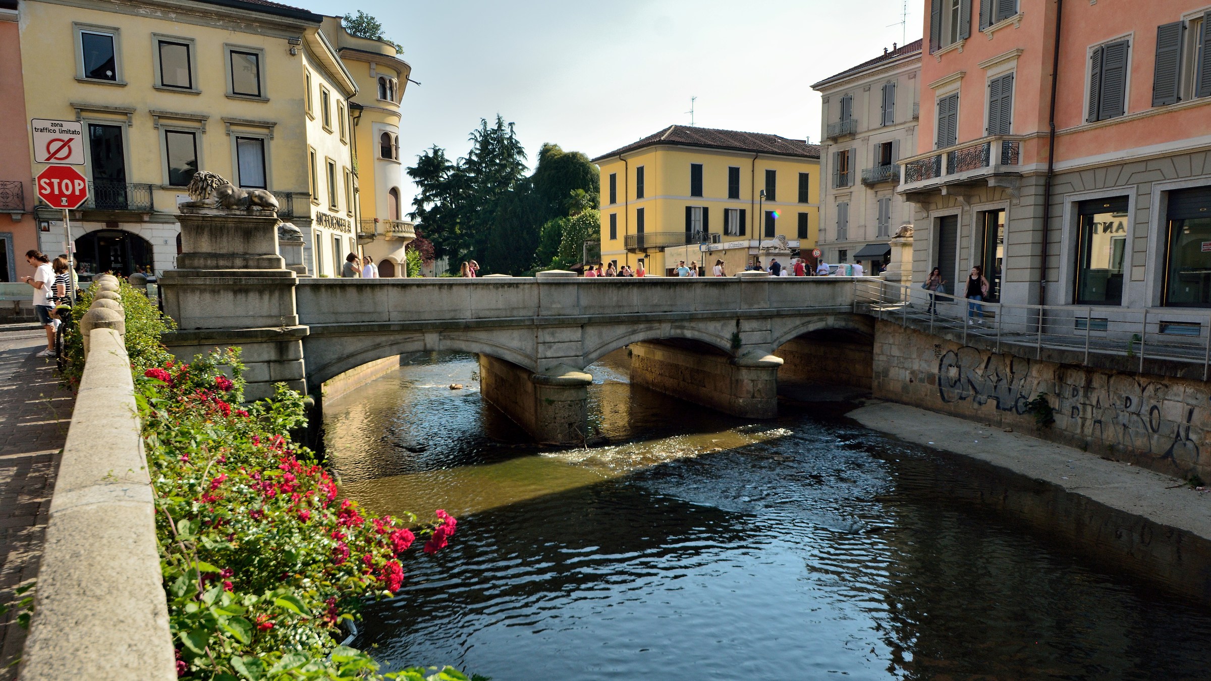 Il ponte dei Leoni