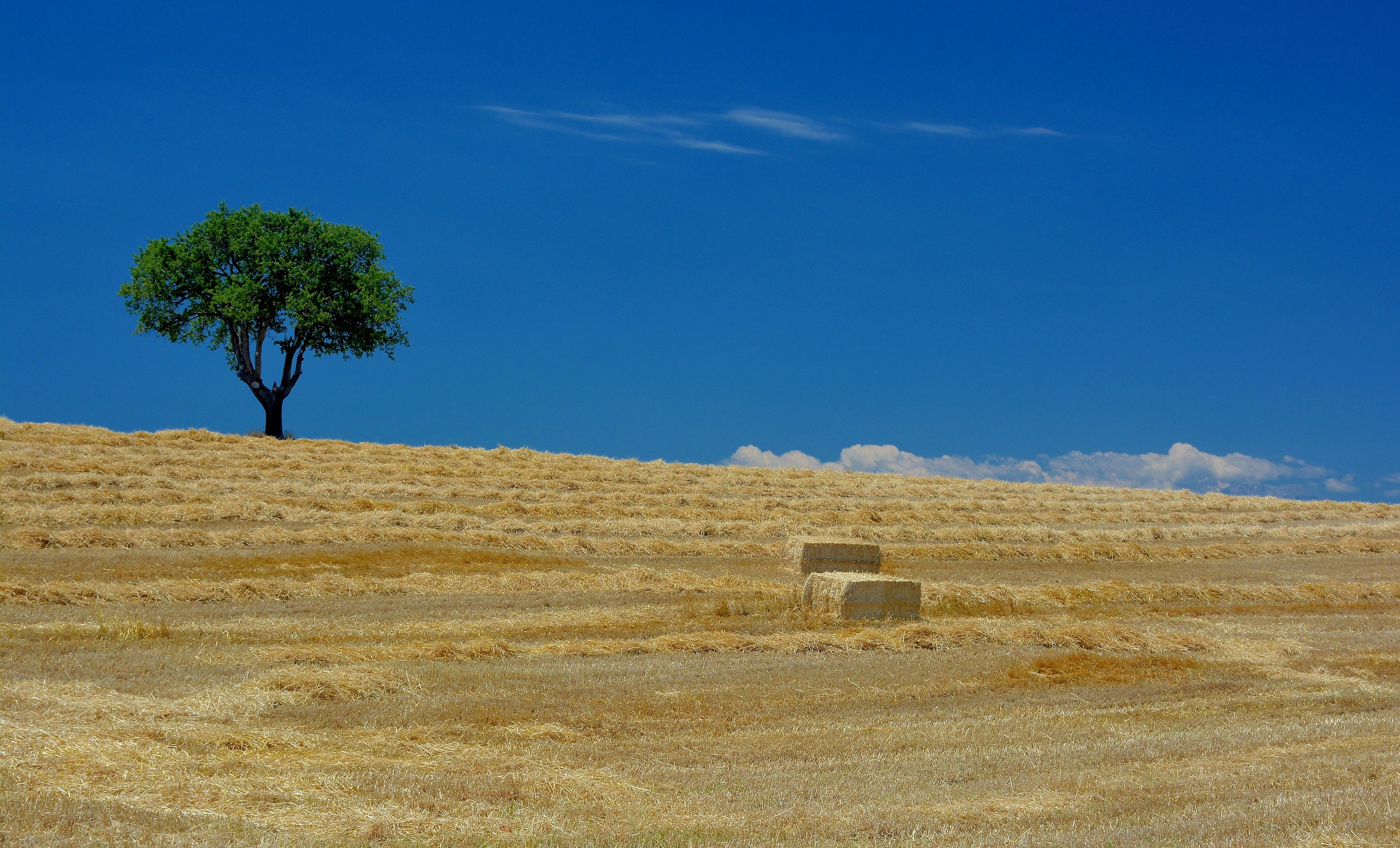 La Natura ? 2 Balle !!
