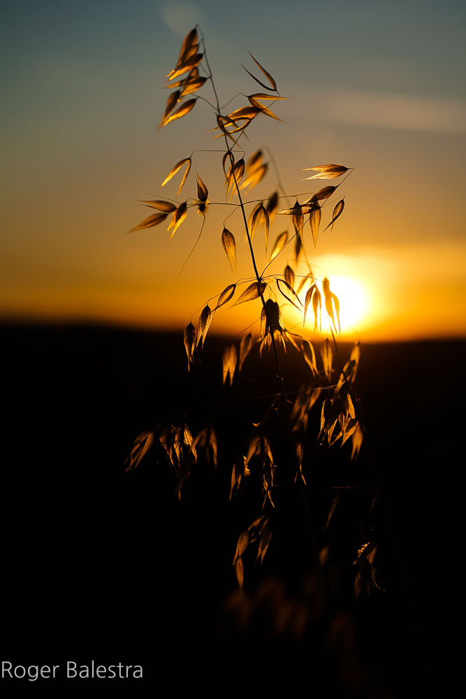 "Is the sign of a summer that I wish I could not finish