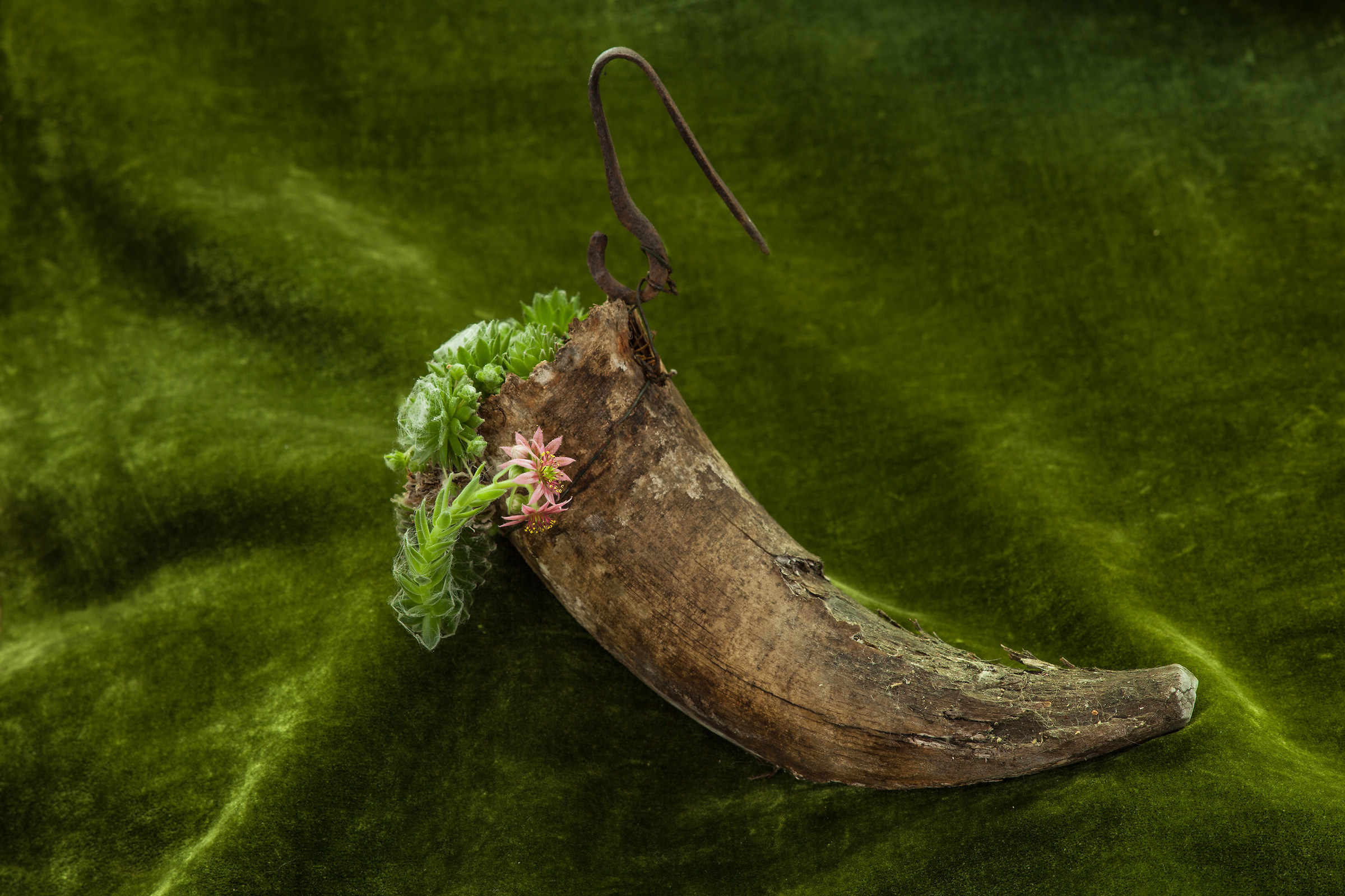 Contratto a tempo  determinato