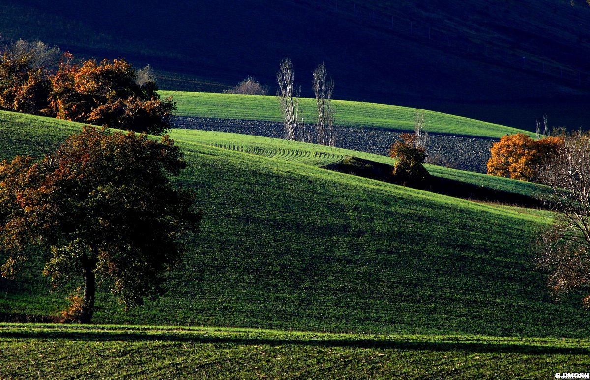 In the morning, the light ...