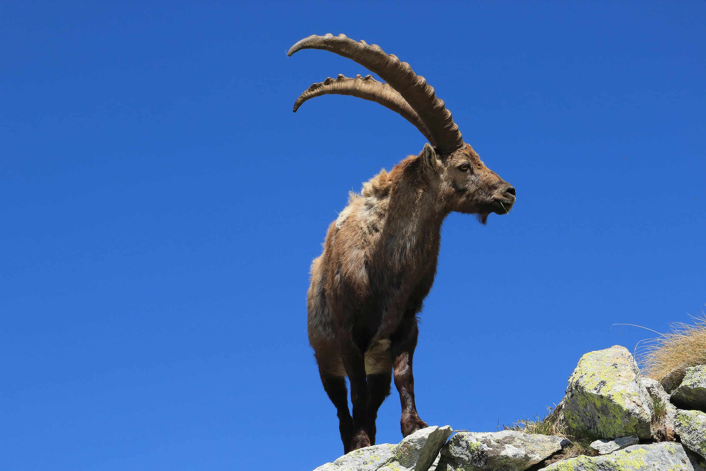 At the edge of the Publino (2,400 m)