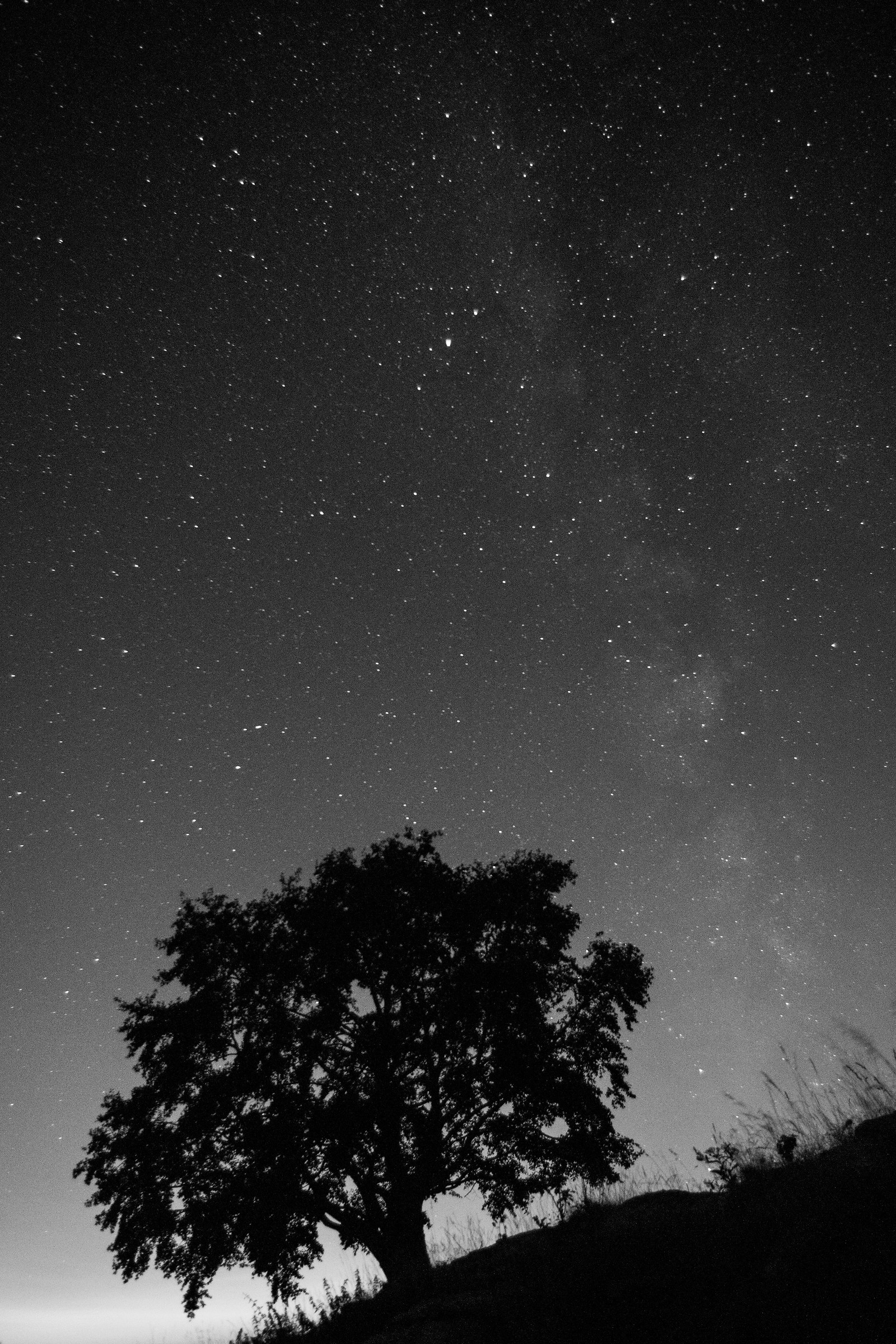 Milky way in black and white
