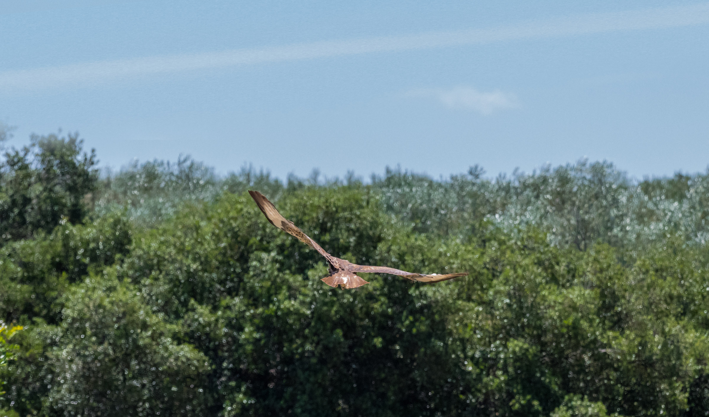 Go where your heart takes you