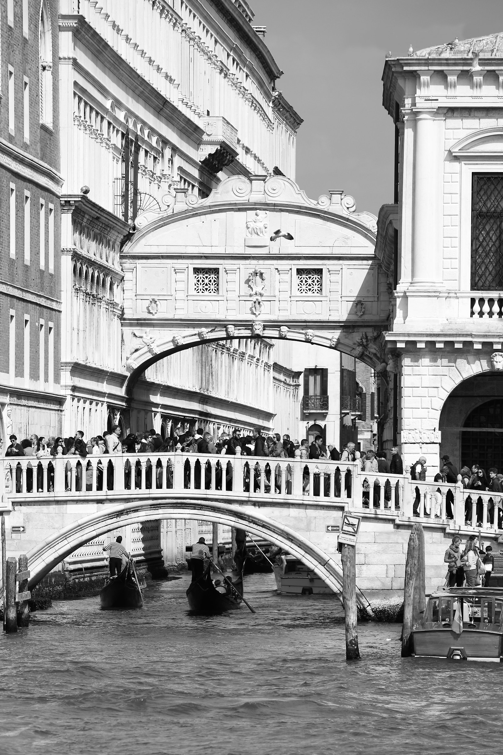 Venice - Bridge of Sighs