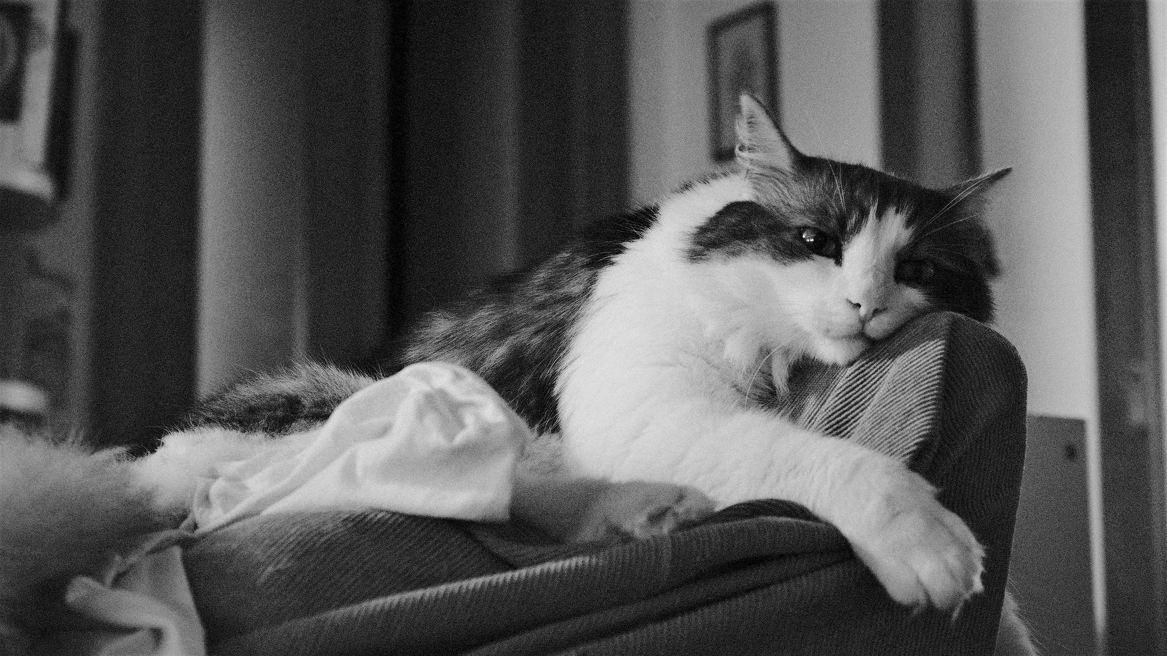 beh, che c'è ? sto pensando....!!!