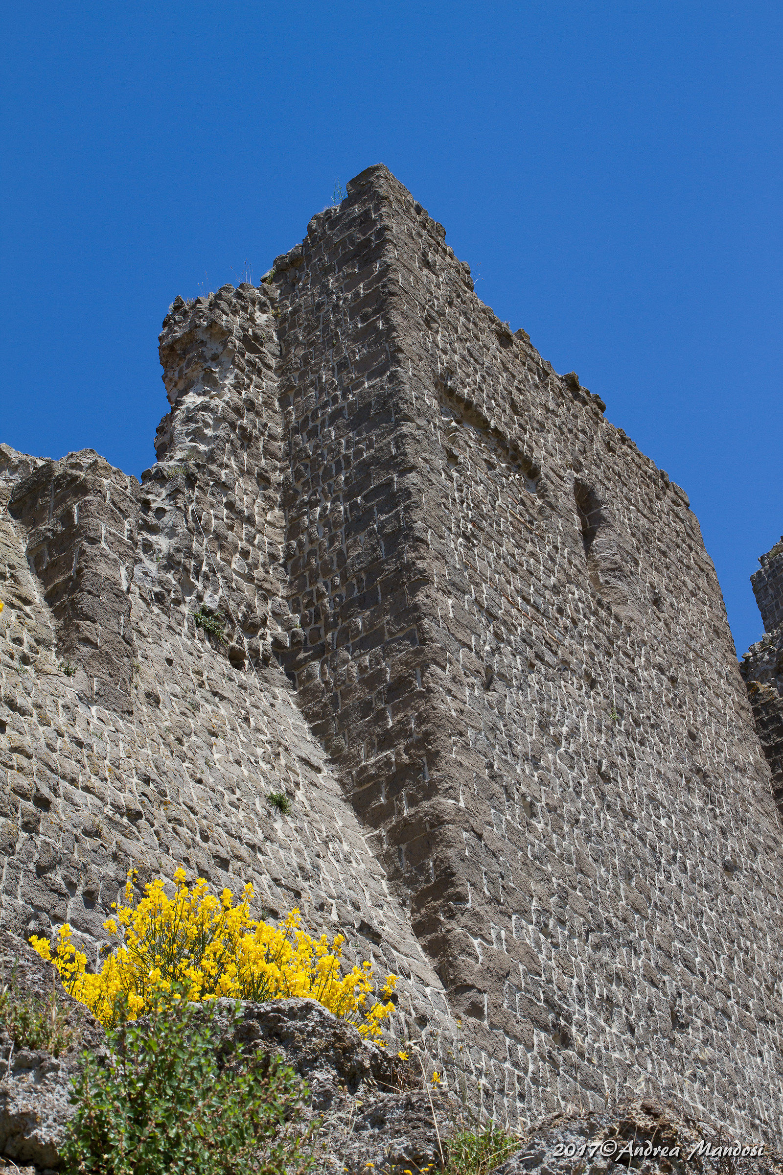 The Rocca dei Papi, particular