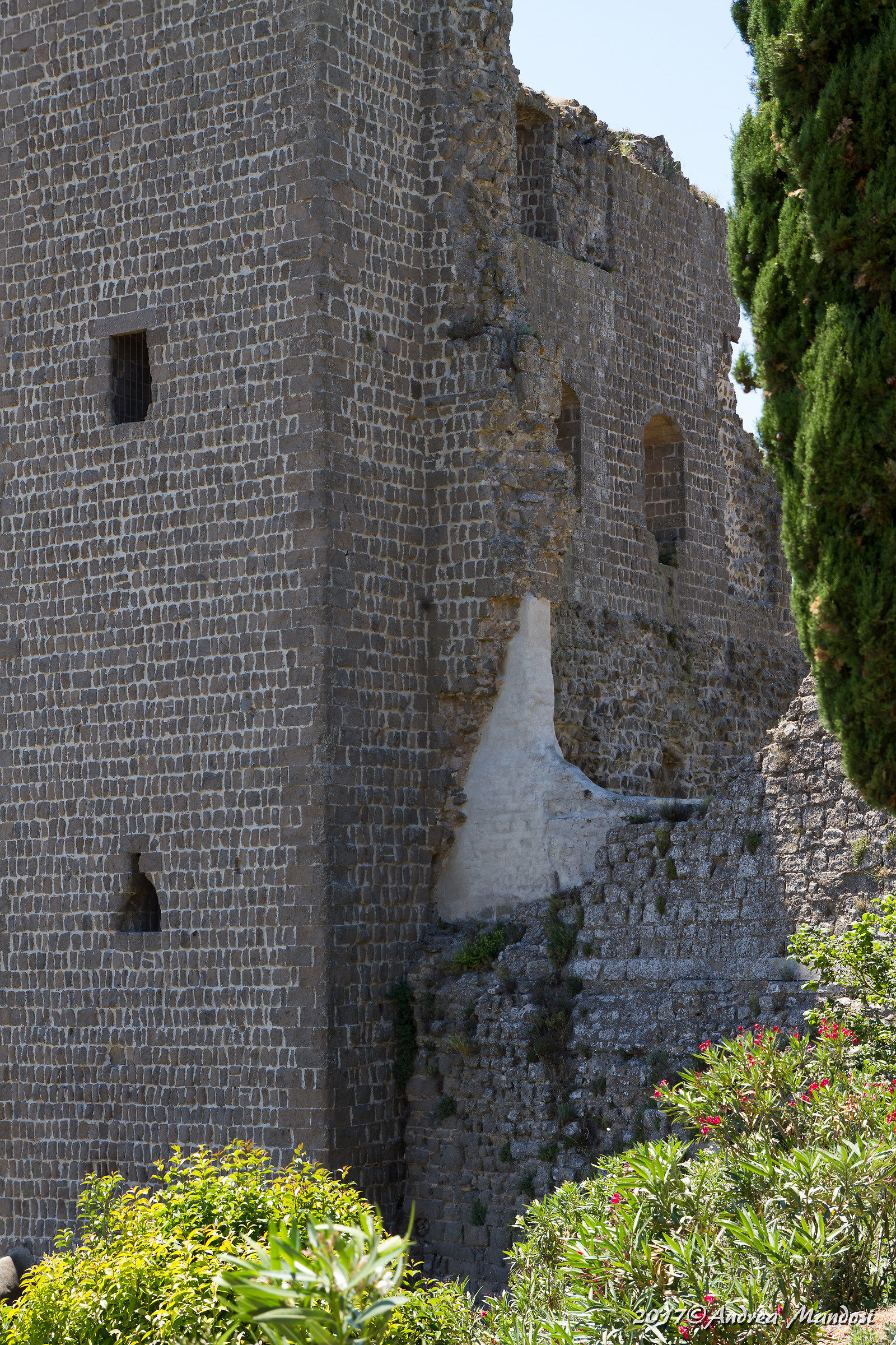 La rocca dei Papi, particolare