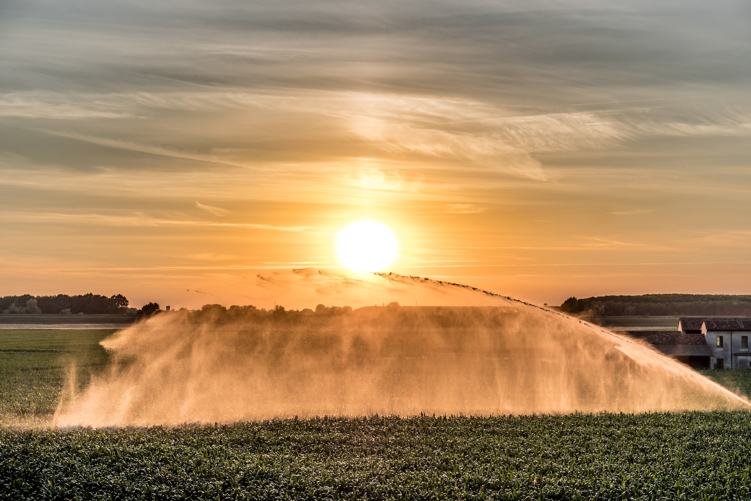 Splash the Sunset !!