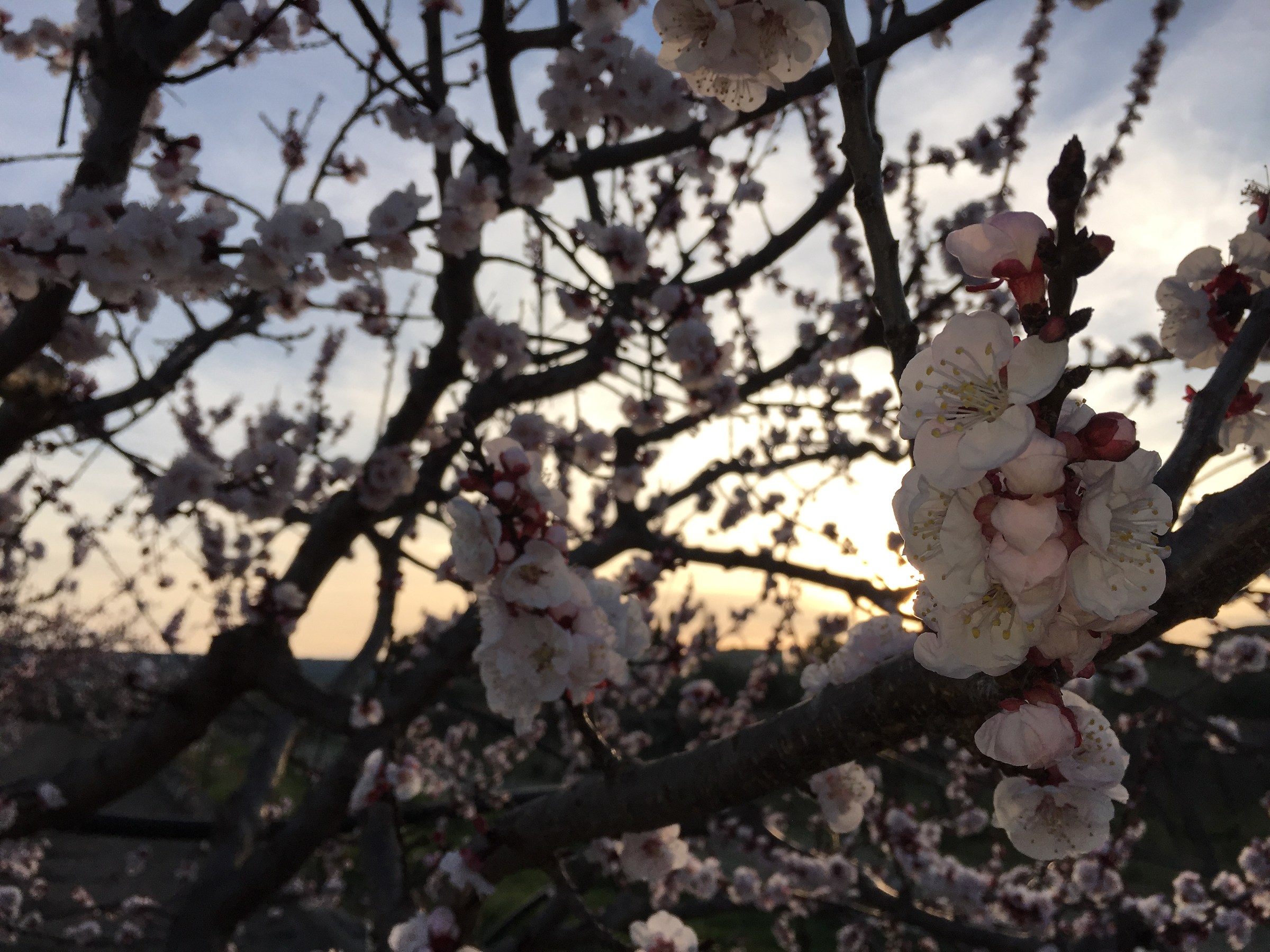 It's time to wake up ...