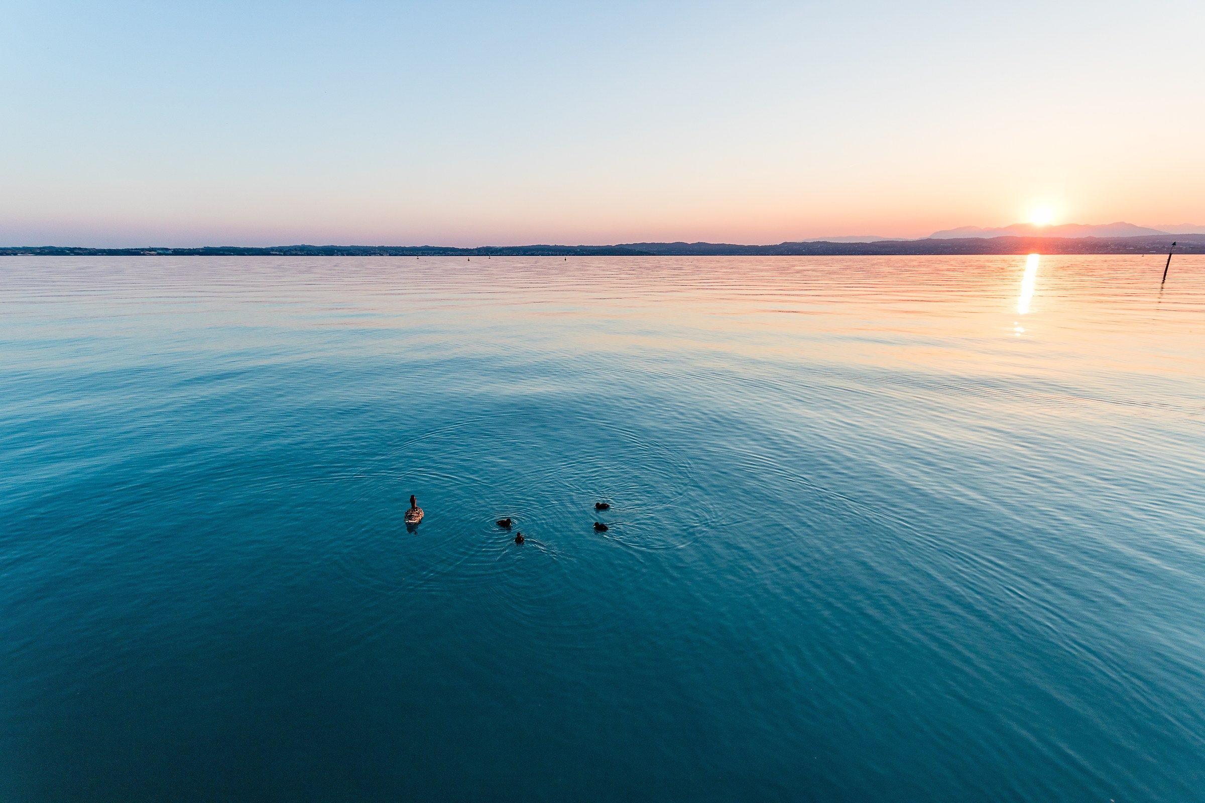 Un'insolita famigliola al tramonto
