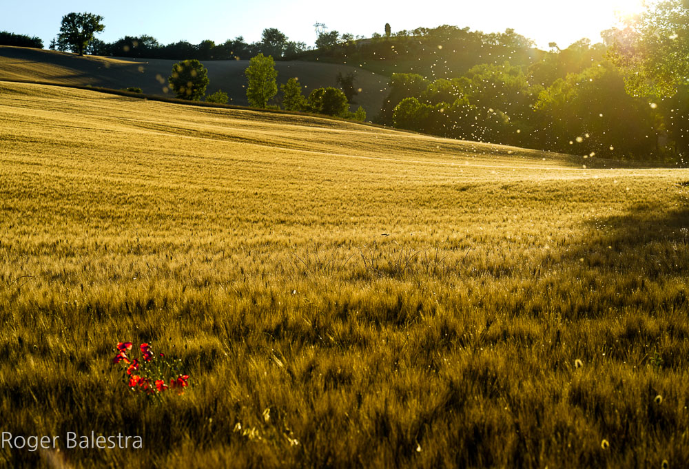 The description of a moment