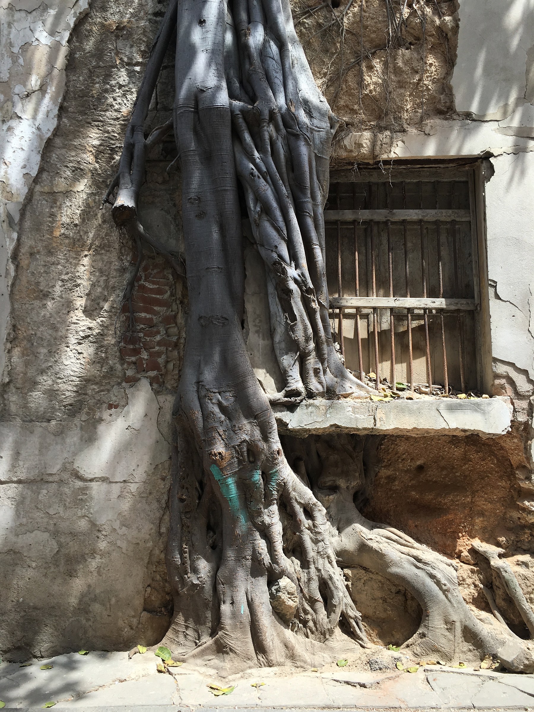 The revenge of nature