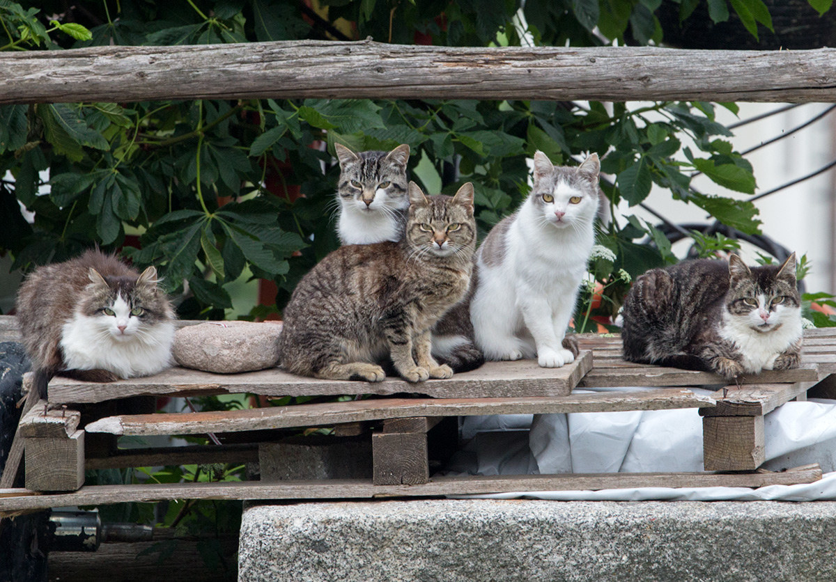 "3..2..1 .. cheeese"