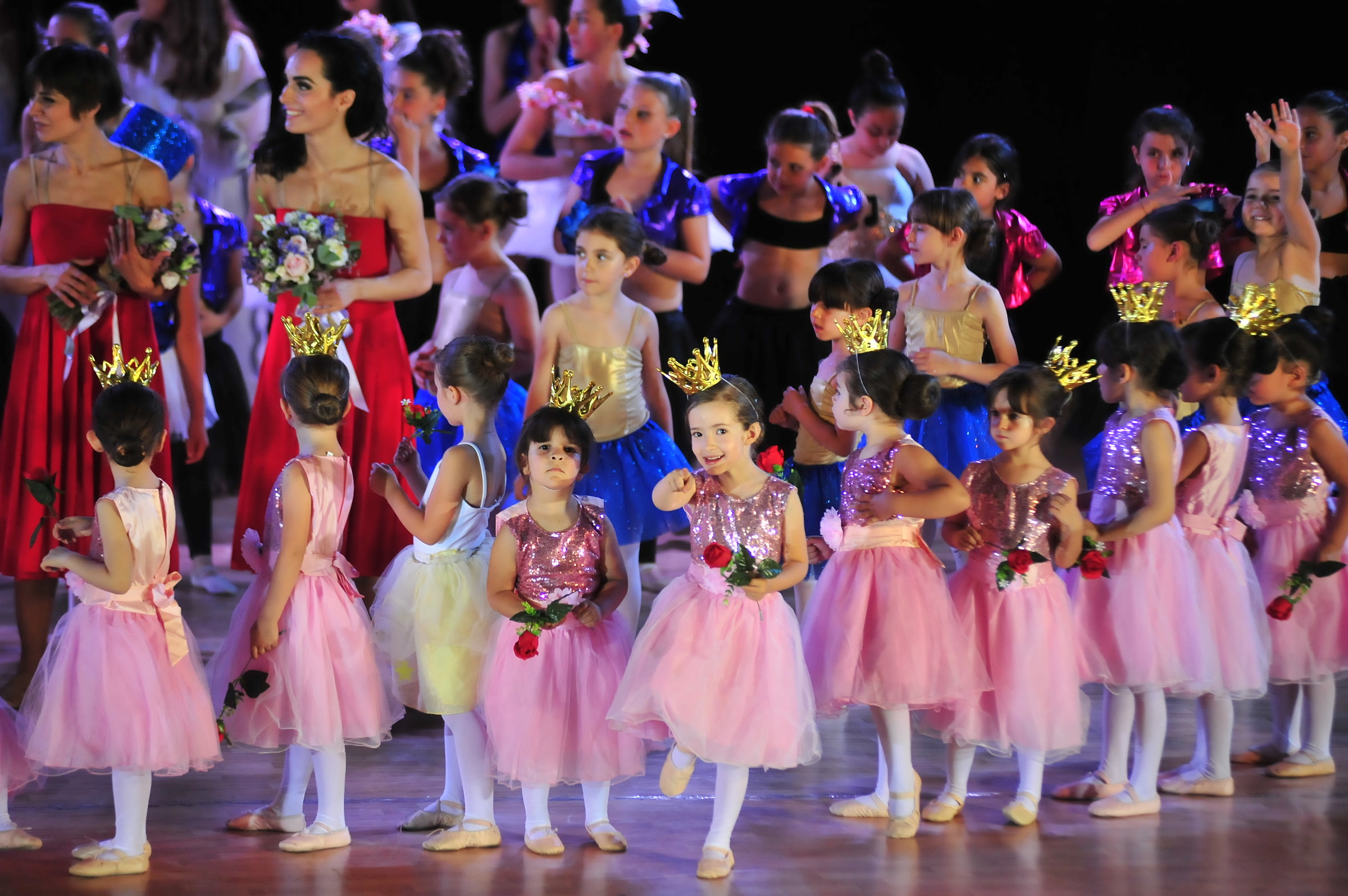 il sogno delle principesse