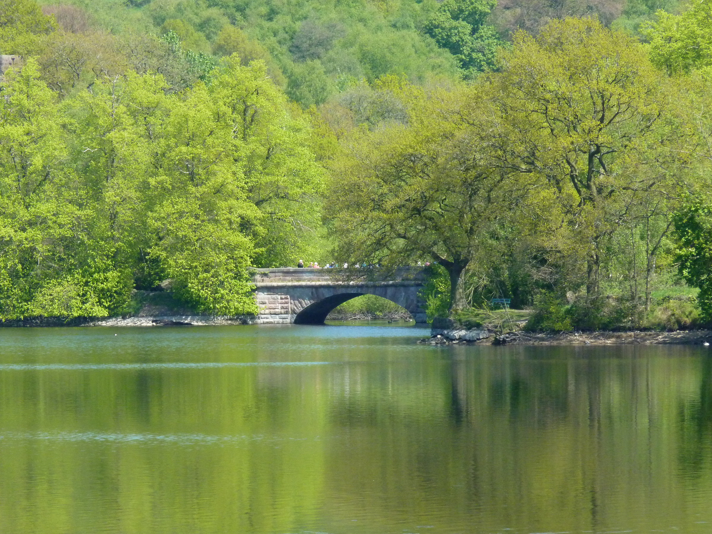 Knypersley Reservoir, ponte pedonale