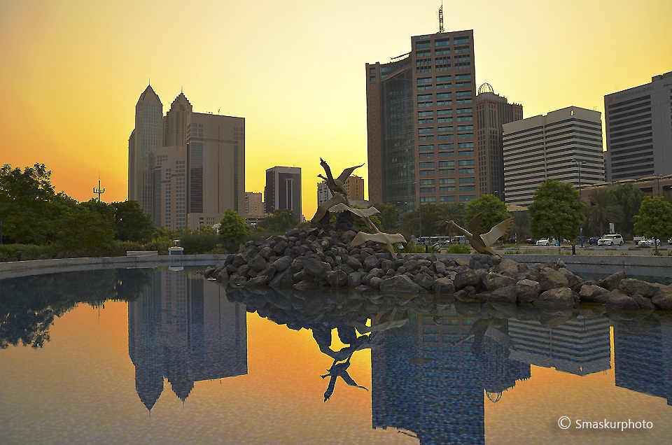 Bird's Pool Park in the morning