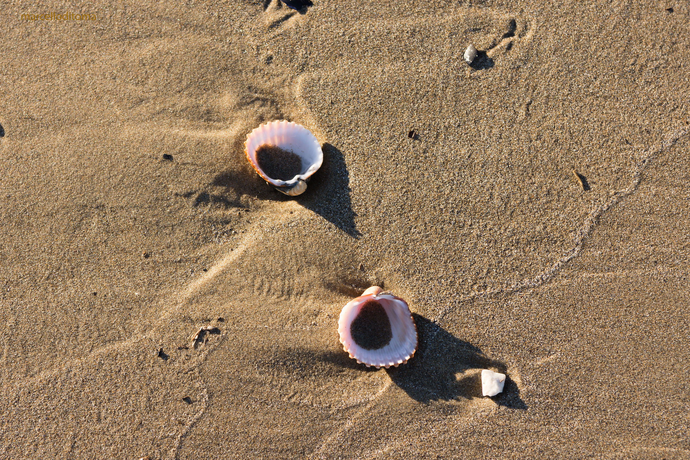 Il mare ci racconta...del passato...
