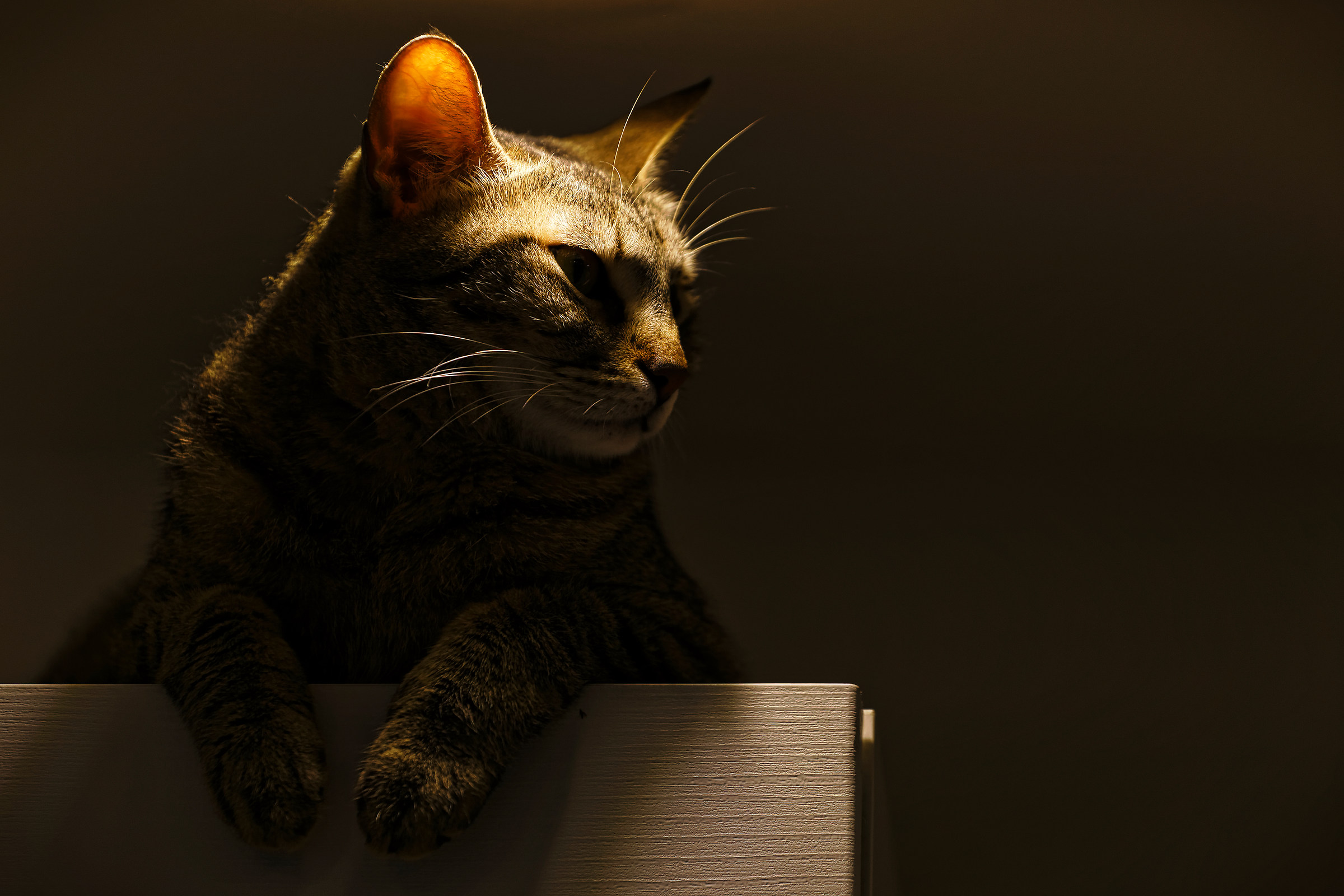 Futura and Caravaggio